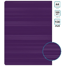 Папка с 100 прозрачными вкладками Бюрократ DeLuxe DLVBOX100BBERRY A4, пластик, 0.7мм, черничный в коробе