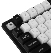 Клавиатура проводная Defender Dark Knight R GK-077, USB, черный/белый