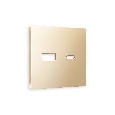 Лицевая панель ALFA (Шампань) для розетки 2USB тип A+C QUANT AP6110