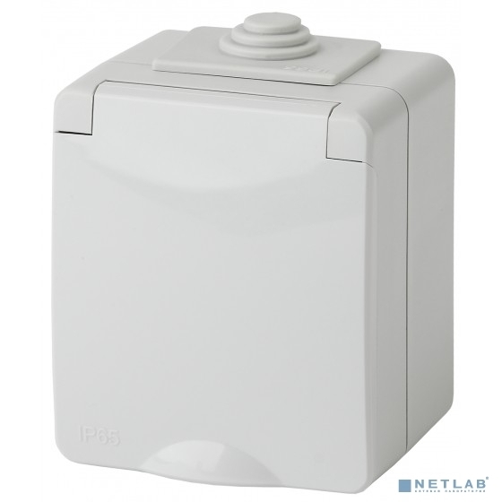 Розетка ЭРА 11-2601-03 2P+E IP65, 16A-250В, ОУ, серый