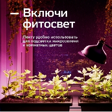 Лента светодиодная Sber SBDV-00038
