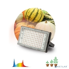 Фитопрожектор для растений светодиодный ЭРА FITO-80W-Ra90-LED-Y полного спектра