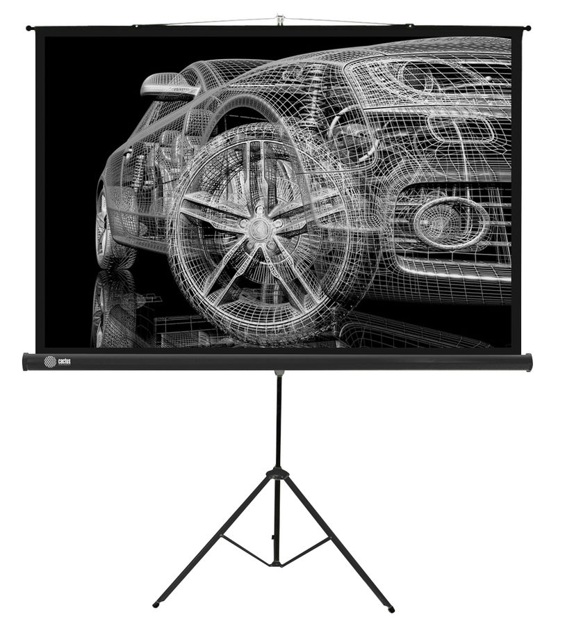 Экран Cactus 124.5x221 см Triscreen CS-PST-124x221 16:9 напольный рулонный черный