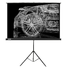 Экран Cactus 124.5x221 см Triscreen CS-PST-124x221 16:9 напольный рулонный черный
