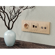 Лицевая панель ALFA (Шампань) для компьютерной/телефонной + TV розетки RJ-45/RJ-11 QUANT AP6125