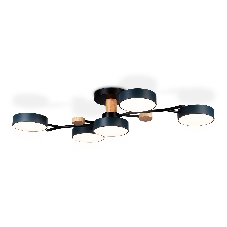 Светильник Ambrella light FL4835/5 BK черный 3000K-6400K 70W 830*400*160 (ПДУ ИК)