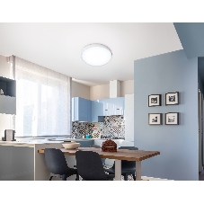 Светильник светодиодный ультратонкий Ambrella light FZ1951 WH белый IP54 20W 5000K D270*15 (Без ПДУ)