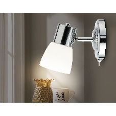 Светильник Ambrella light TR3961 CH/FR хром/белый матовый E27 max 40W 118*105*200