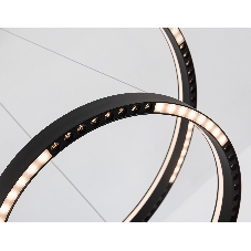 Подвесной светодиодный светильник Ambrella light FL5865/2 BK черный 45W 3000K/4200K/6400K D600/400*830 (без ПДУ)