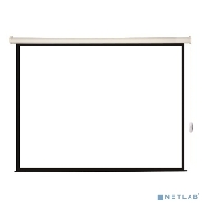 Экран с электроприводом Lumien Eco Control 203x203 см (раб. область 197х197 см) Matte White черная кайма по периметру 1:1