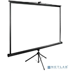 Экран Cactus 180x180 см TriExpert CS-PSTE-180x180-BK 1:1 напольный рулонный