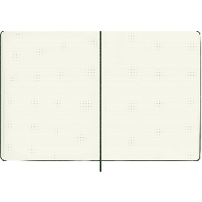 Блокнот Moleskine CLASSIC QP093K15 XLarge 190х250 мм 192 стр. пунктир твердая обложка зеленый