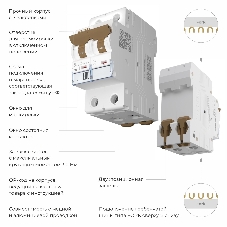 Автоматический выключатель Werkel 2P 32 A C 6 кА W902P326