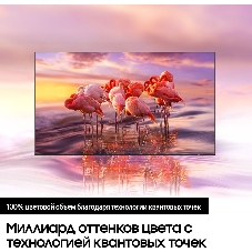 Телевизор Samsung 55