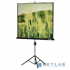 Экран на треноге Lumien 153x153см Master View LMV-100102 1:1 напольный рулонный
