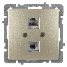 Nilson Механизм роз. 2-местн. компьютерная СУ, (RJ45 САТ6), ТУРАН-АЛЕГРА-ТОР, metallic, золото (24150447) Nilson Механизм роз. 2-местн. компьютерная СУ, (RJ45 САТ6), ТУРАН-АЛЕГРА-ТОР, metallic, золото (24150447)