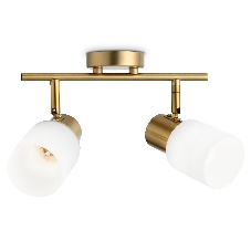 Светильник Ambrella light TR3969/2 BS/FR латунь/белый матовый E27*2 max 40W 260*80*210