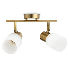 Светильник Ambrella light TR3969/2 BS/FR латунь/белый матовый E27*2 max 40W 260*80*210