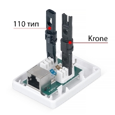 Розетка в сборе Cabeus, 1x RJ45(8P8C), кат. 6, экр., внешняя, белый, (WS-8P8C-Cat.6-SH-1)