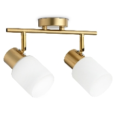 Светильник Ambrella light TR3969/2 BS/FR латунь/белый матовый E27*2 max 40W 260*80*210