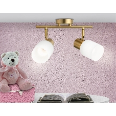 Светильник Ambrella light TR3969/2 BS/FR латунь/белый матовый E27*2 max 40W 260*80*210