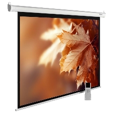 Экран Cactus 188x300 см MotoExpert CS-PSME-300x188-WT 16:10 настенно-потолочный рулонный белый (моторизованный привод)