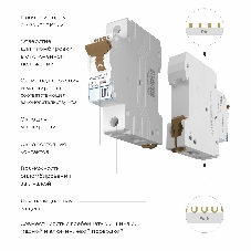 Автоматический выключатель Werkel 1P 32 A C 6 кА W901P326