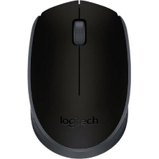 Мышь беспроводная Logitech M171 черный/серый, 1000 dpi, радиоканал, USB, кнопки - 3