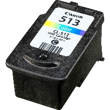 Картридж струйный Canon CL-513IJ CART EMB многоцветный (349 стр) для Canon PIXMA MP230/iP2700/iP2702/MP240/MP250/MP252/MP260/MP270/MP272/MP280